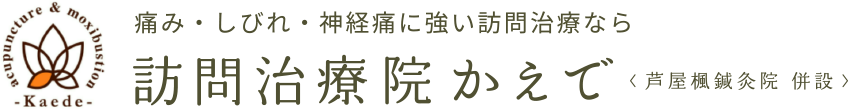 痛み・しびれ・神経痛に強い訪問治療なら 訪問治療院かえで